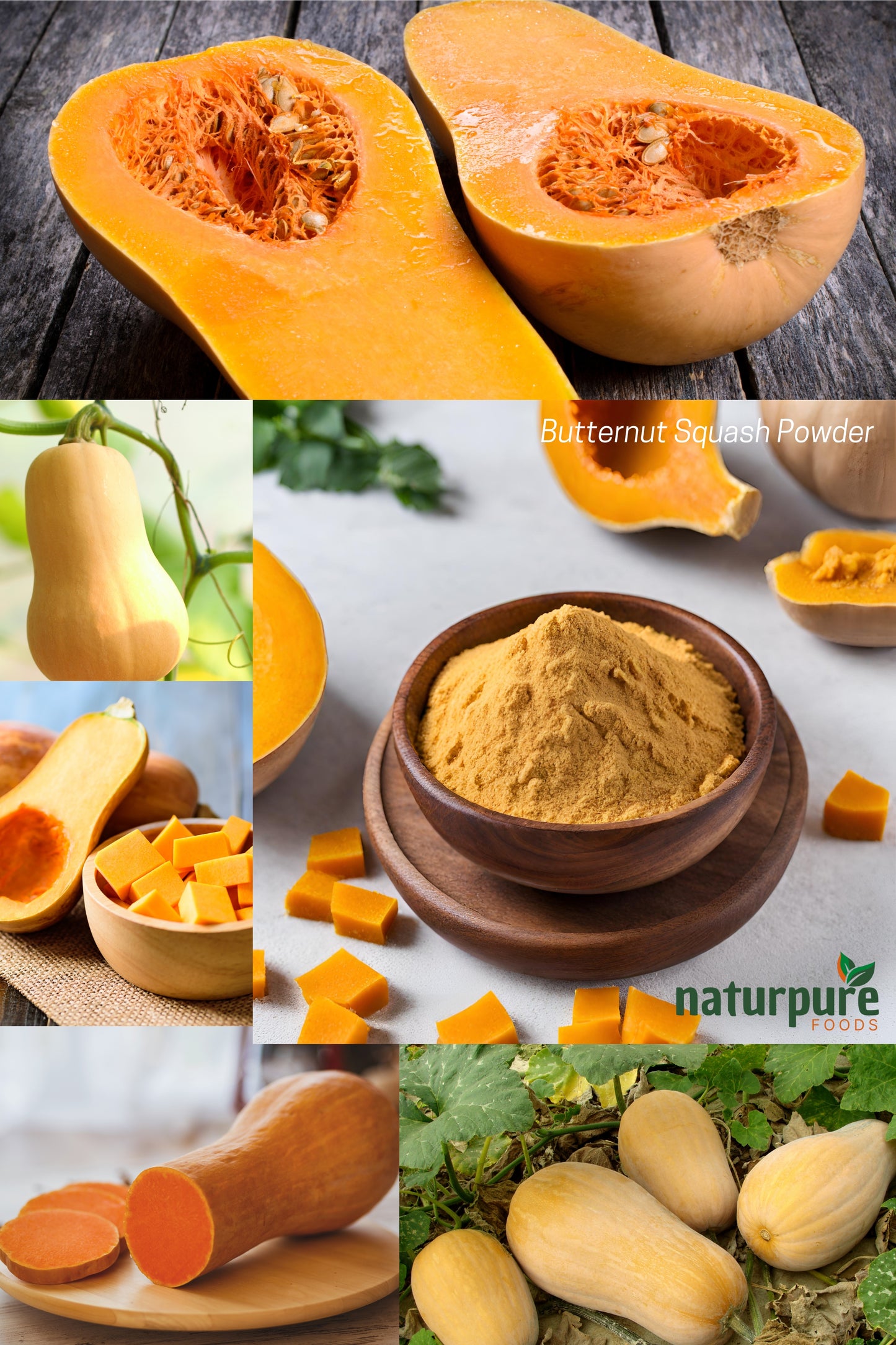 Butternut Squash Powder