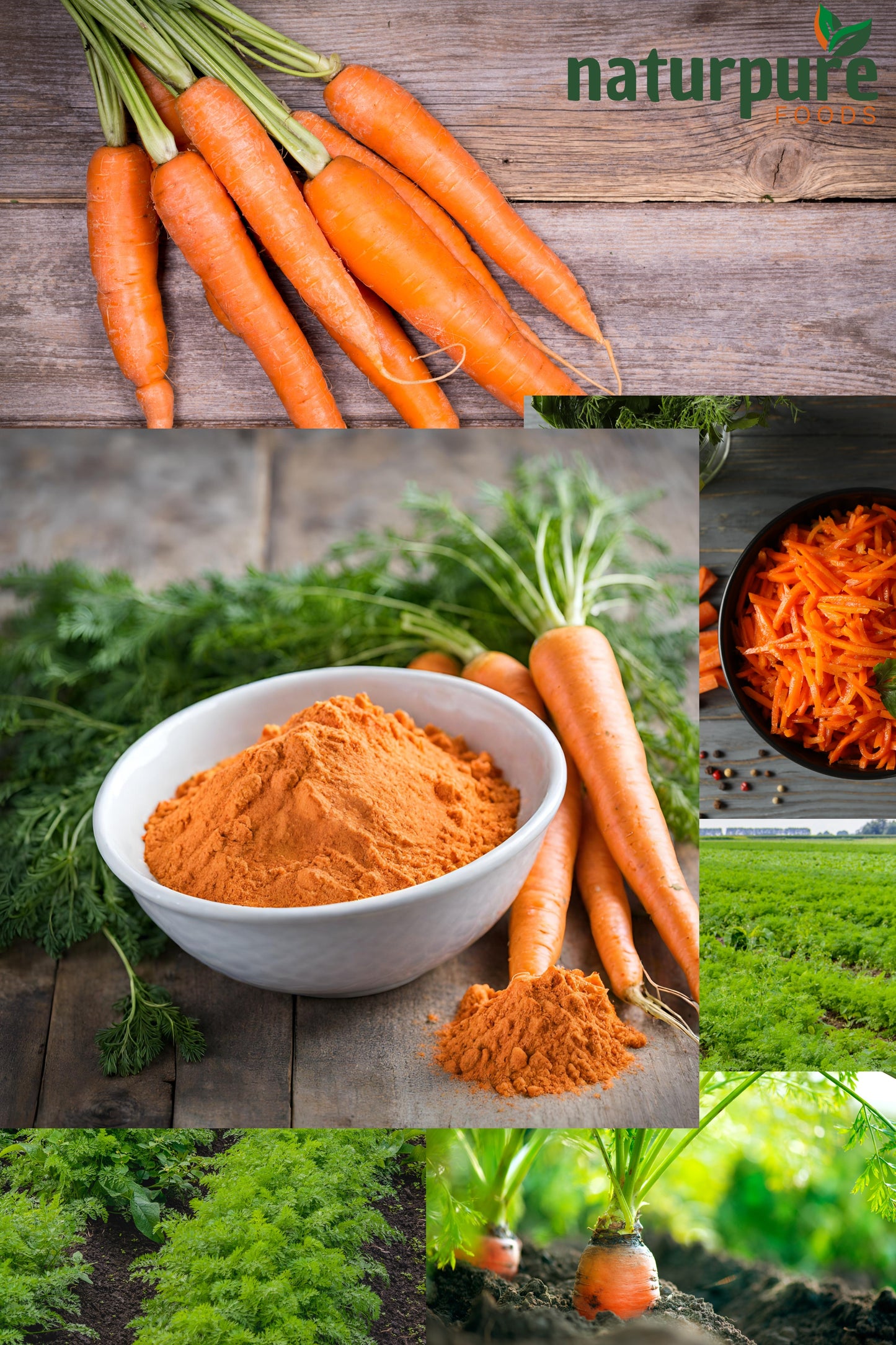 Carrot Powder