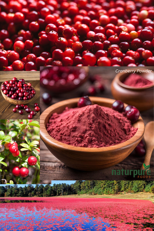 Cranberry Powder