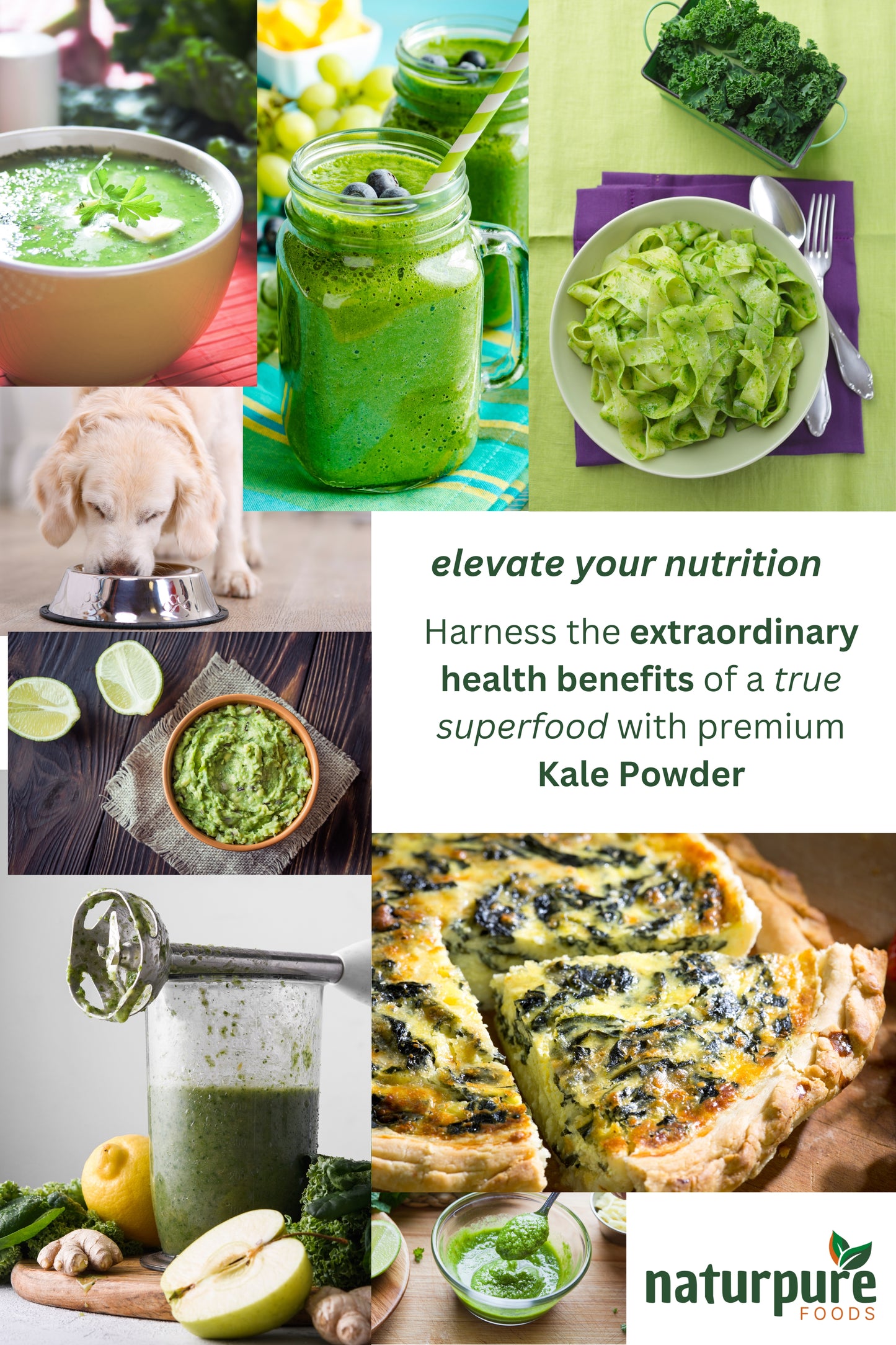 Kale Powder