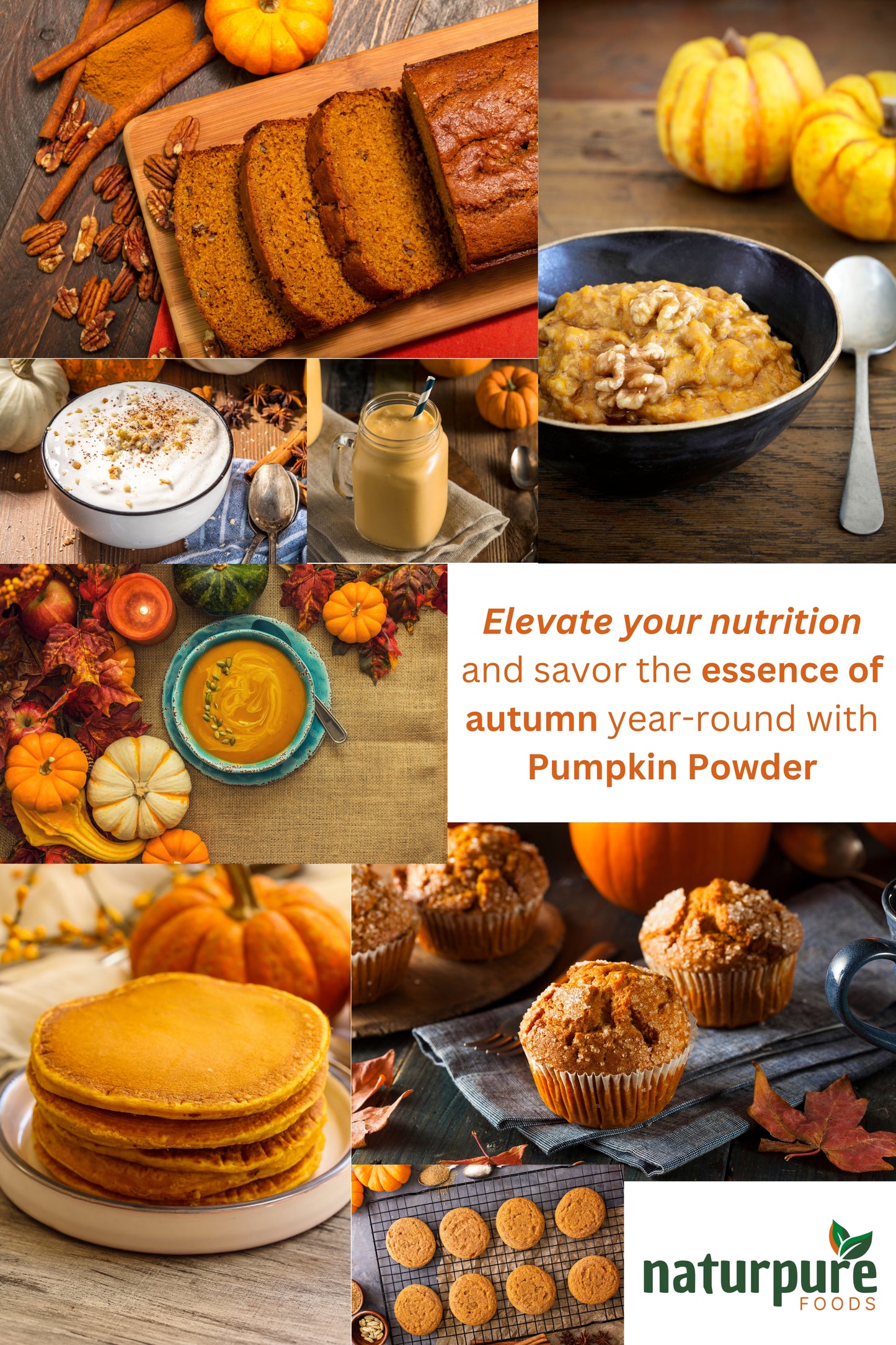 Pumpkin Powder