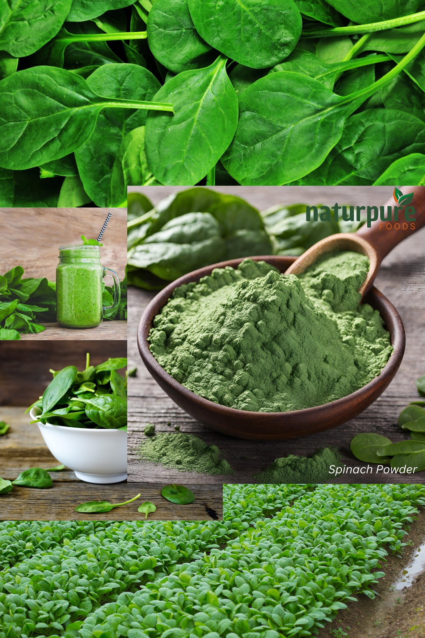 Spinach Powder